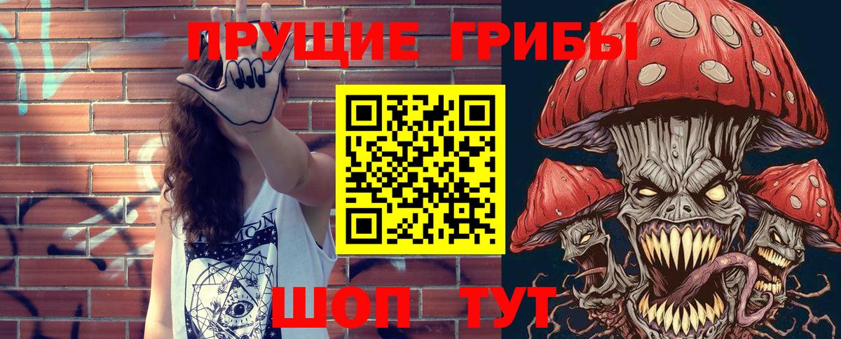 где можно купить наркотик  Вход с VPN  Самара  Галлюциногенные грибы Cubensis 