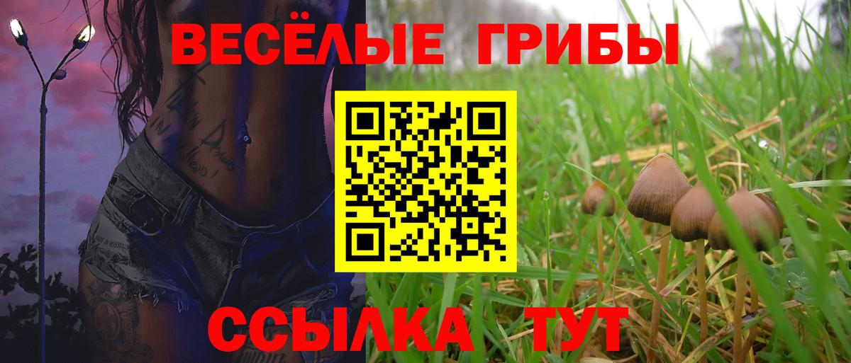 Псилоцибиновые грибы Cubensis Самара